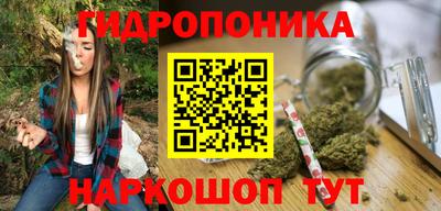 стаф Будённовск