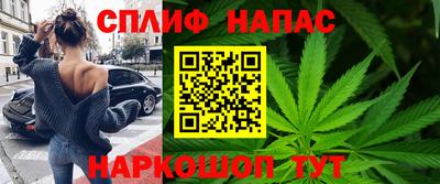 стаф Будённовск