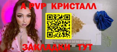 стаф Будённовск