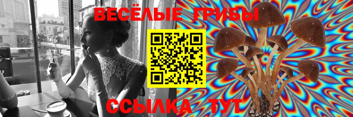 Псилоцибиновые грибы Psilocybe  Вход с VPN  Назарово 